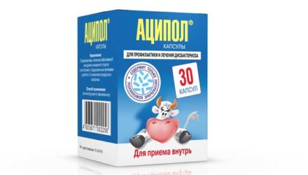 От чего помогает Аципол. Инструкция по применению для детей и взрослых