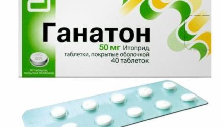 Для чего назначают «Ганатон». Инструкция по применению, цена и аналоги