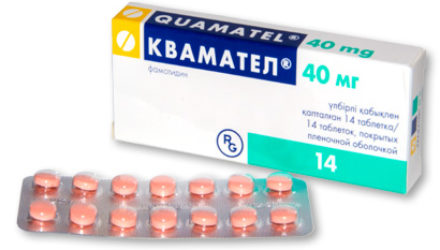 От чего помогает «Квамател»? Инструкция, цена, отзывы и аналоги