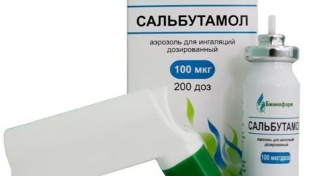 Аэрозоль «Сальбутамол»: инструкция, цена и реальные отзывы