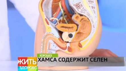 Жить здорово с Еленой Малышевой от 25.02.2021 (последний выпуск)